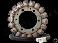 Triumph Ricks Motorsport Stator T1300076, T1300675