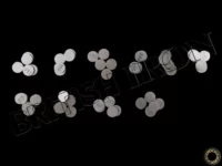 Triumph K&Amp;L 13-6836 Valve Shim Kit 9.5Mm (1.85-2.30Mm) Pn Mbi-136836