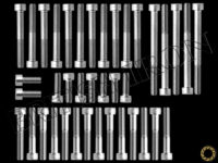Side Cover Bolt Kit for Air Cooled Carbbed Twins (Up To 161317) PN MBI-SCHW01