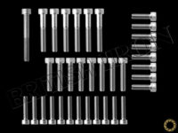 Side Cover Bolt Kit for Triumph Adventurer/Legend TT engines PN MBI-SCHW07
