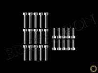 Side Cover Bolt Kit for 97-01 Speed Triple EFI/Daytona 955i PN MBI-SCHW09