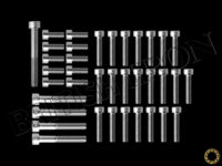Side Cover Bolt Kit for 93-96 Daytona 900/Super III PN MBI-SCHW12